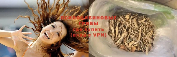 каннабис Алзамай