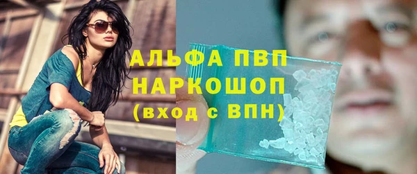 apvp Алексин