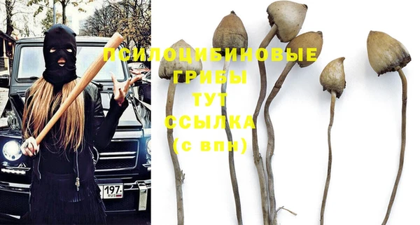 apvp Алексин