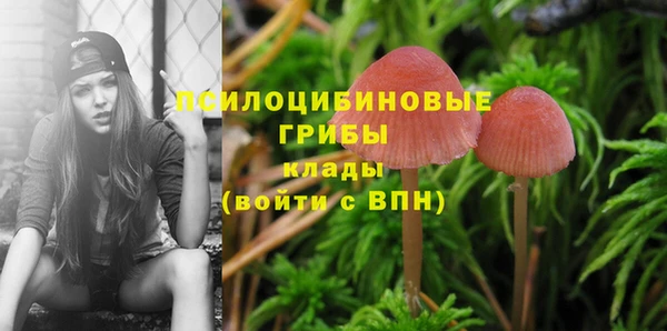 дмт Козельск